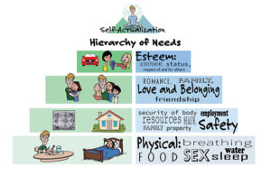 Specialized Pyramid of Needs